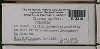 Image Associated With the Occurence